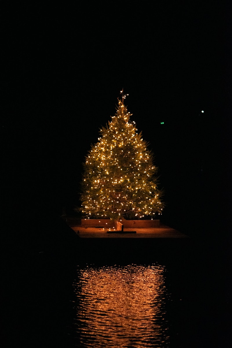 Decorated christmas tree glowing at night with reflection